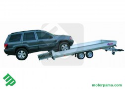 Facilità trasporto auto veicoli o cose